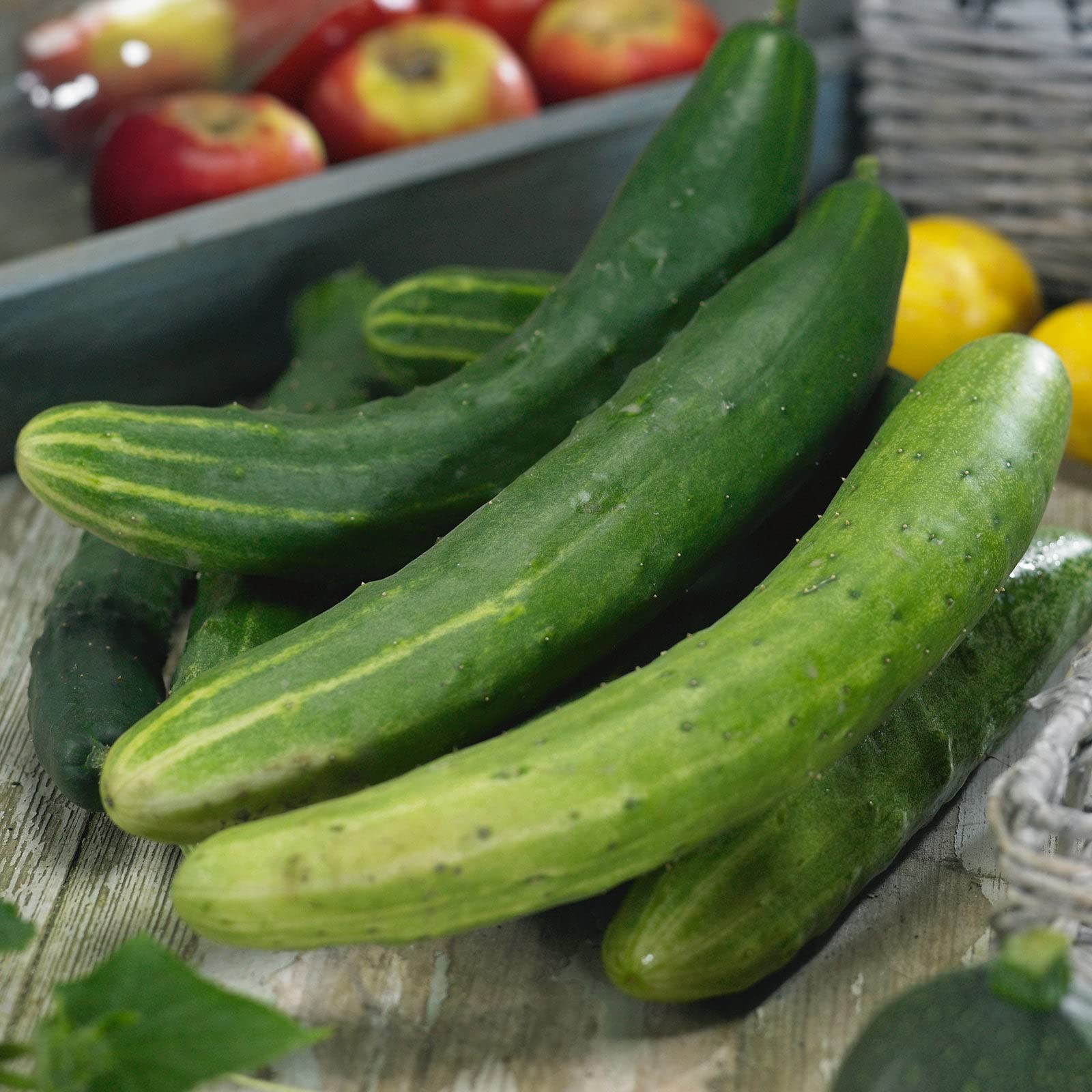 Organic Cucumber Seeds - Garden Sweet Burpless Hybrid - Non-GMO Vegetable Seeds for Home Gardening - Easy to Grow in Containers & Backyard Gardens - Perfect for Salads, Pickling & Healthy Snacks