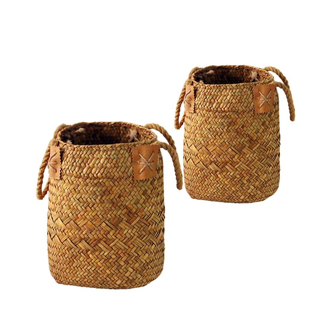 Seagrass Woven Storage Basket with Handles - 2 Pack Natural Straw Plant Pot, Flower Basket, Laundry Organizer for Home, Picnic, Grocery, Bathroom & Nursery Decor