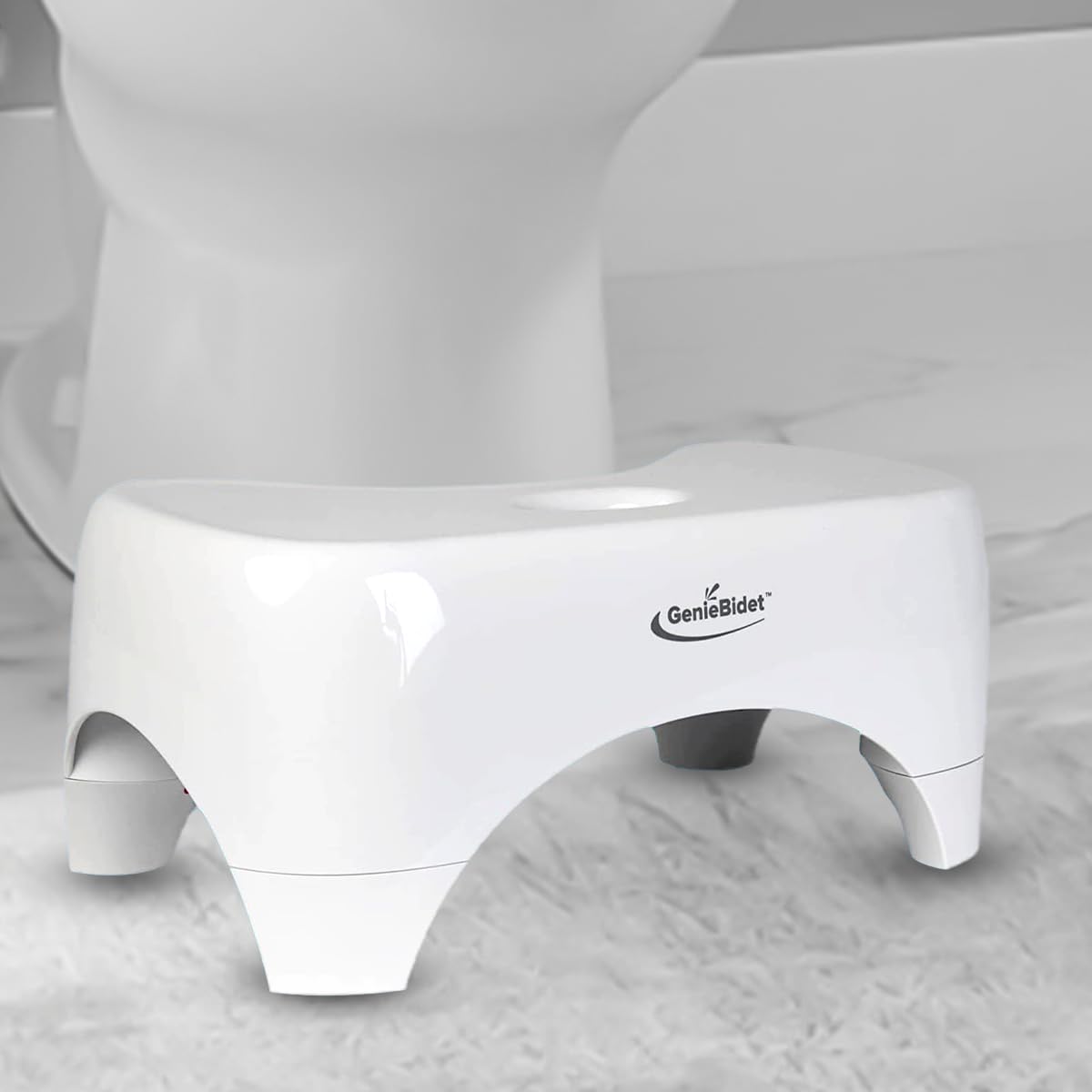 GenieBidet 7