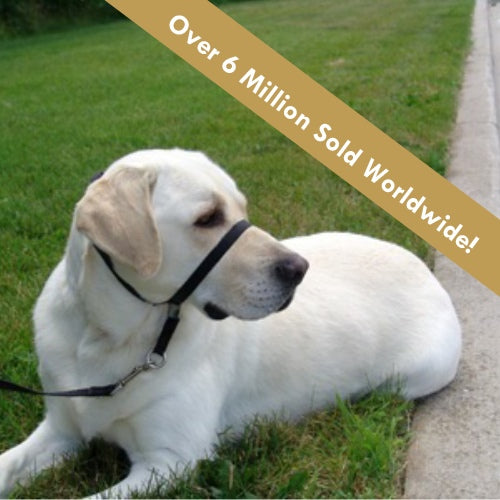 Gentle Leader Headcollar - No-Pull Dog Training Collar for Large & Small Dogs | Perfect for Walking, Training & Behavioral Control