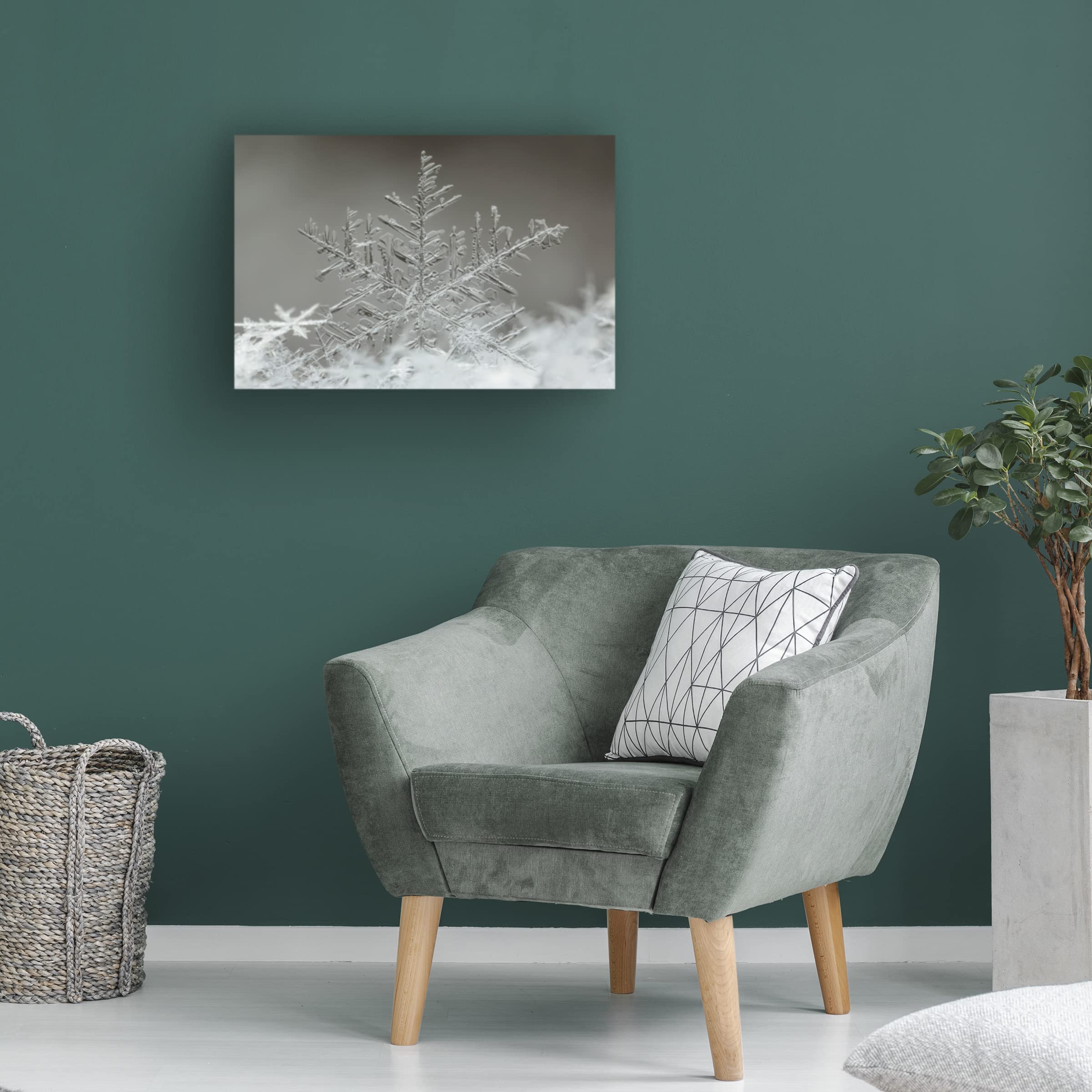 Trademark Fine Art 'Snowflake' Canvas Wall Art by Tsolmon Naidandorj - Winter Home Decor for Living Room, Bedroom & Office