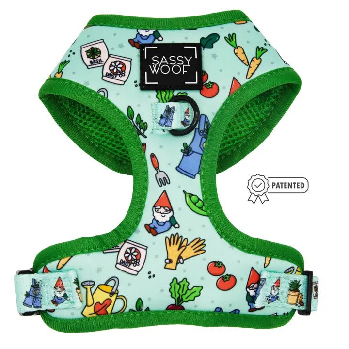 Adjustable Dog Harness for Small Medium Large Breeds - Comfortable & Secure Pet Walking Gear - Perfect for Daily Walks, Hiking & Outdoor Adventures