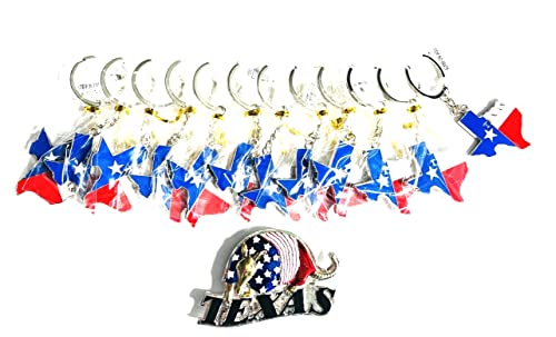 Texas Shape With Flag