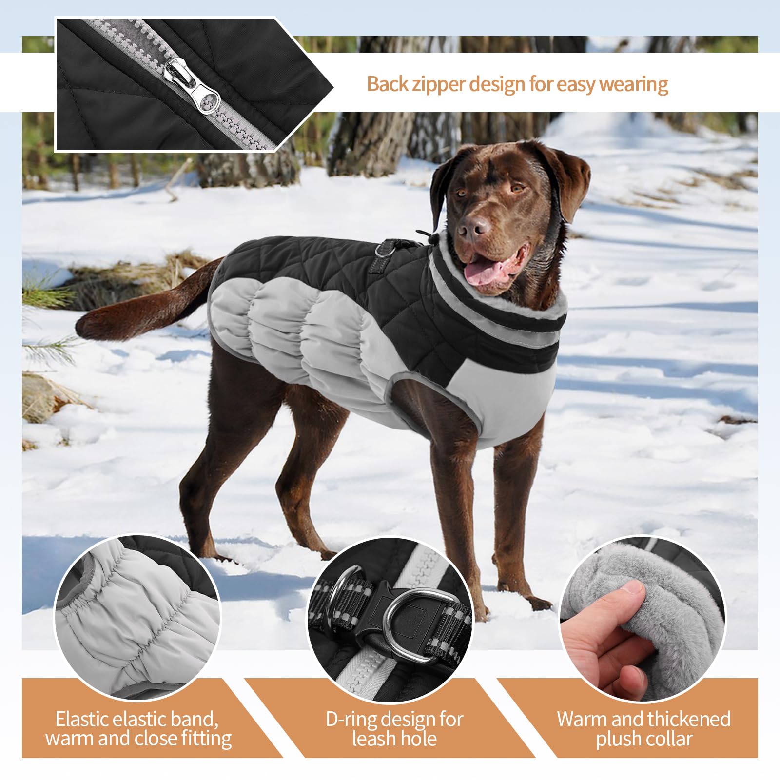 Waterproof Fleece-Lined Dog Winter Coat for Medium Dogs - Warm Zip-Up Jacket with D-Ring for Pug & Boston Terrier - Cold Weather & Snow Protection (Black, Size M) - Perfect for Winter Walks, Outdoor Adventures & Snow Play