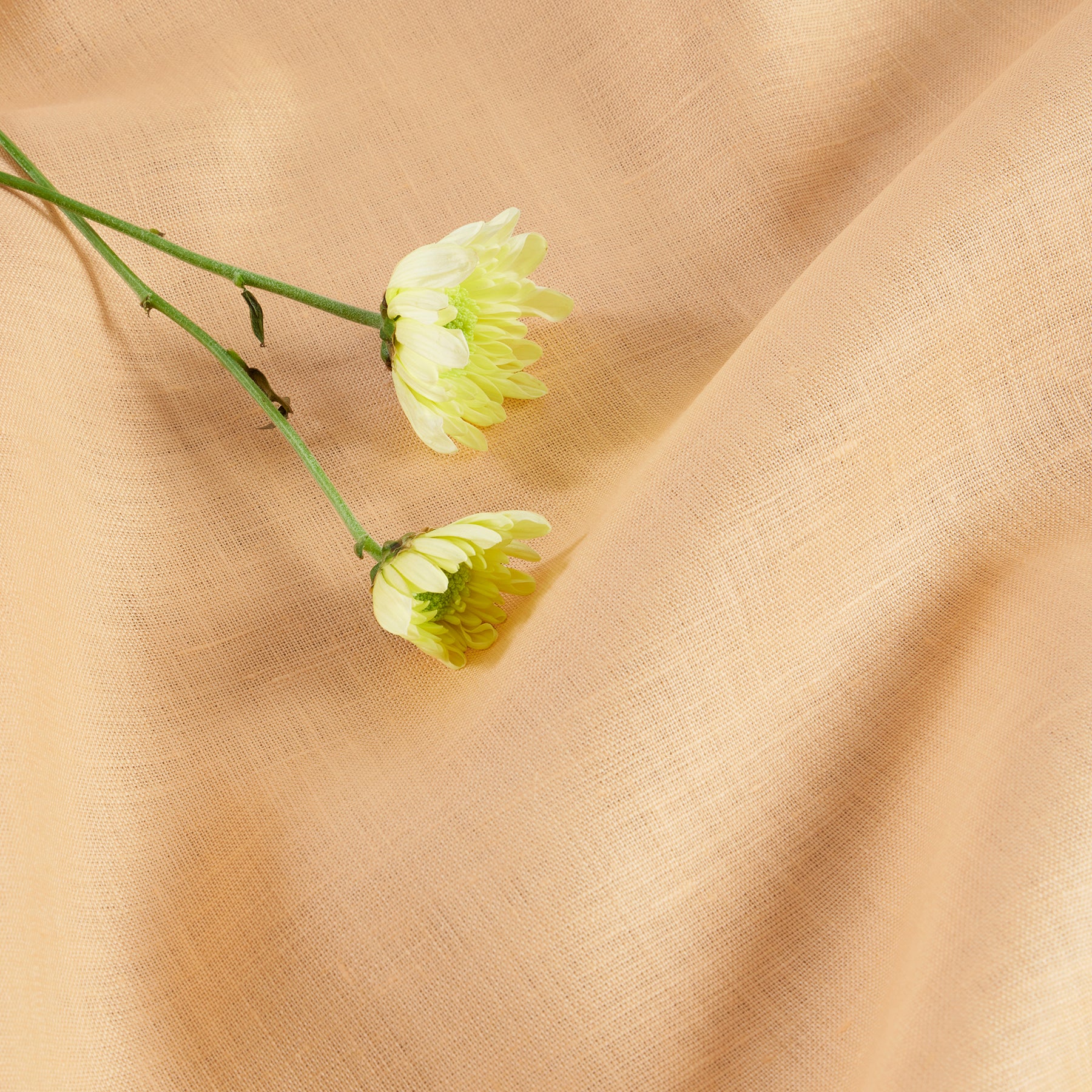 Premium Extra Large Fete Tablecloth - Waterproof & Stain-Resistant for Outdoor Parties, Weddings, and Events
