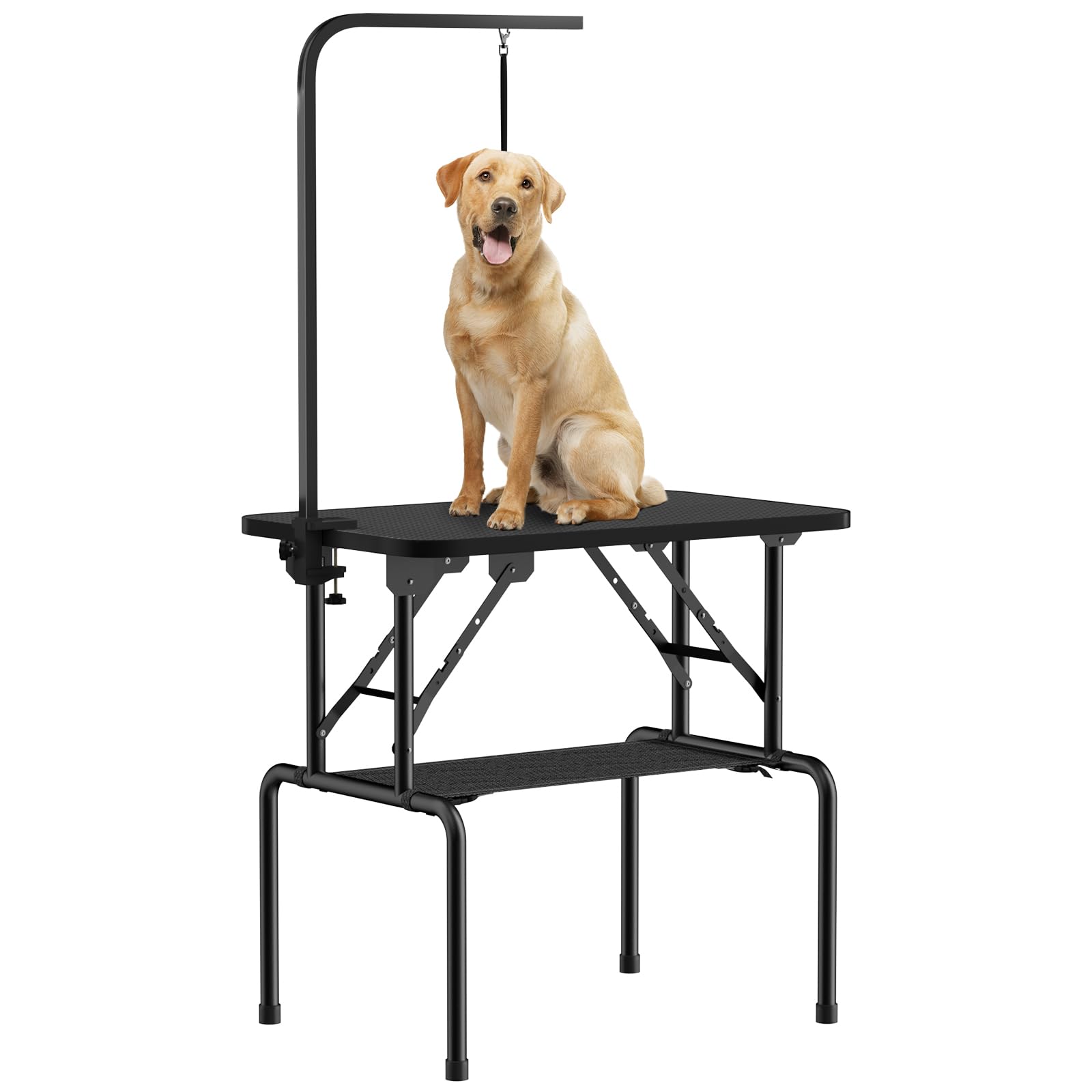 ROOMTEC 32 Inch Foldable Dog Grooming Table with Adjustable Arm, Nooses & Mesh Tray - Professional Pet Grooming Table for Home Use, Perfect for Bathing, Brushing & Nail Trimming