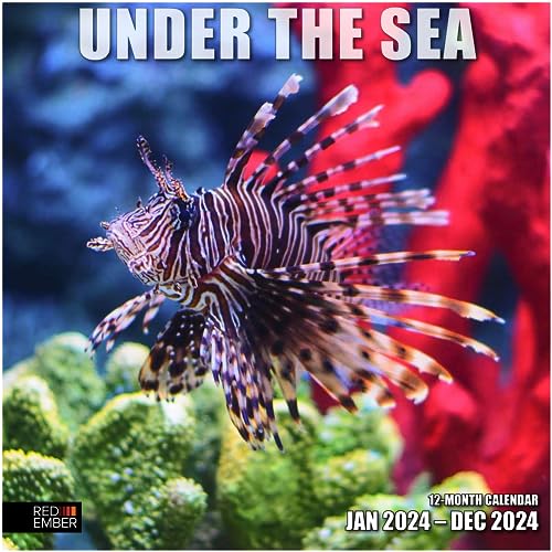 14 - Under the Sea