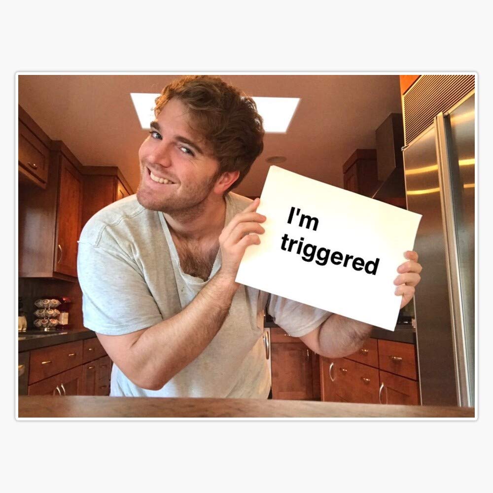 Shane Dawson Vinyl Bumper Sticker - Waterproof 5