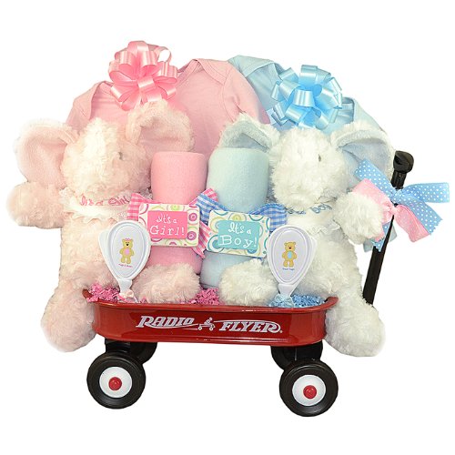 Twins Elephant Baby Gift Basket for Boys & Girls - Perfect for Baby Showers, Newborn Celebrations, and Birthday Presents