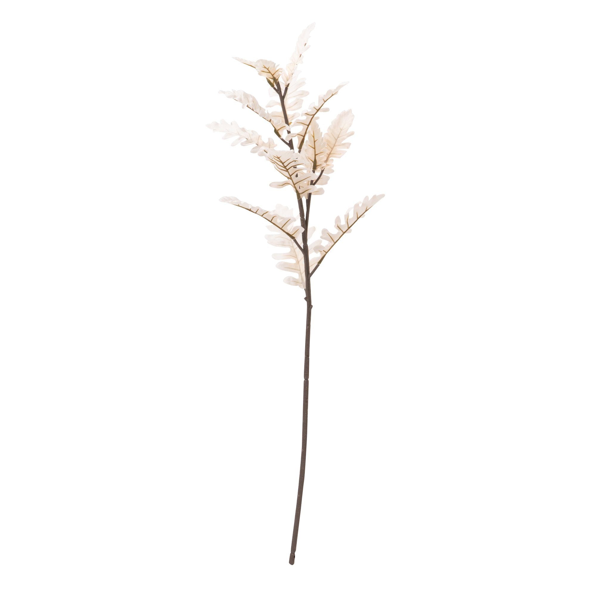 Beautiful Ivory Cineraria Artificial Flowers - Perfect for Home Decor, Wedding Bouquets, and Floral Arrangements