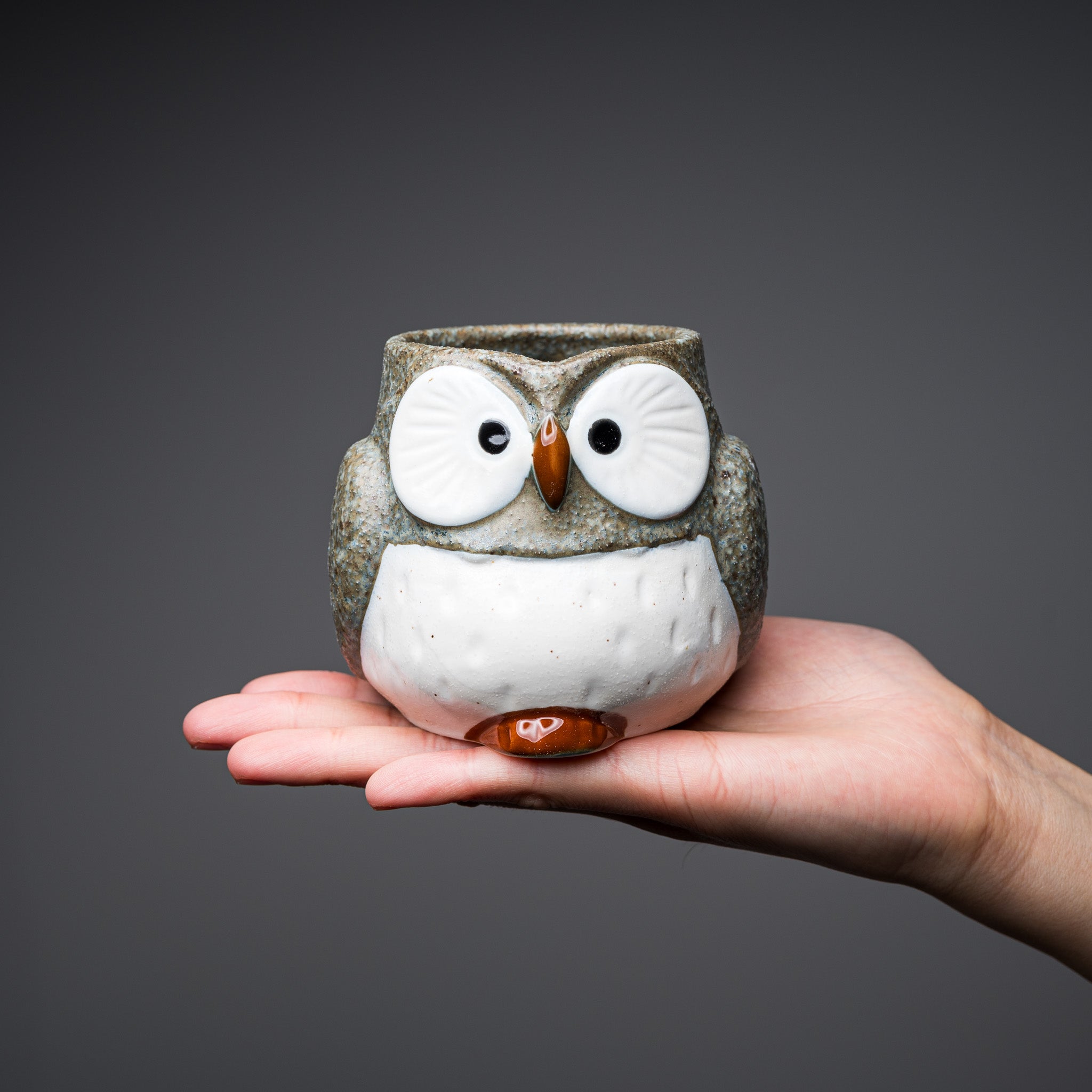 Twins Owl Pair Mug Cups - Cute Ceramic Coffee Mugs for Couples, Best Friends & Siblings - Perfect for Valentine's Day Gifts, Housewarming & Cozy Coffee Time at Home