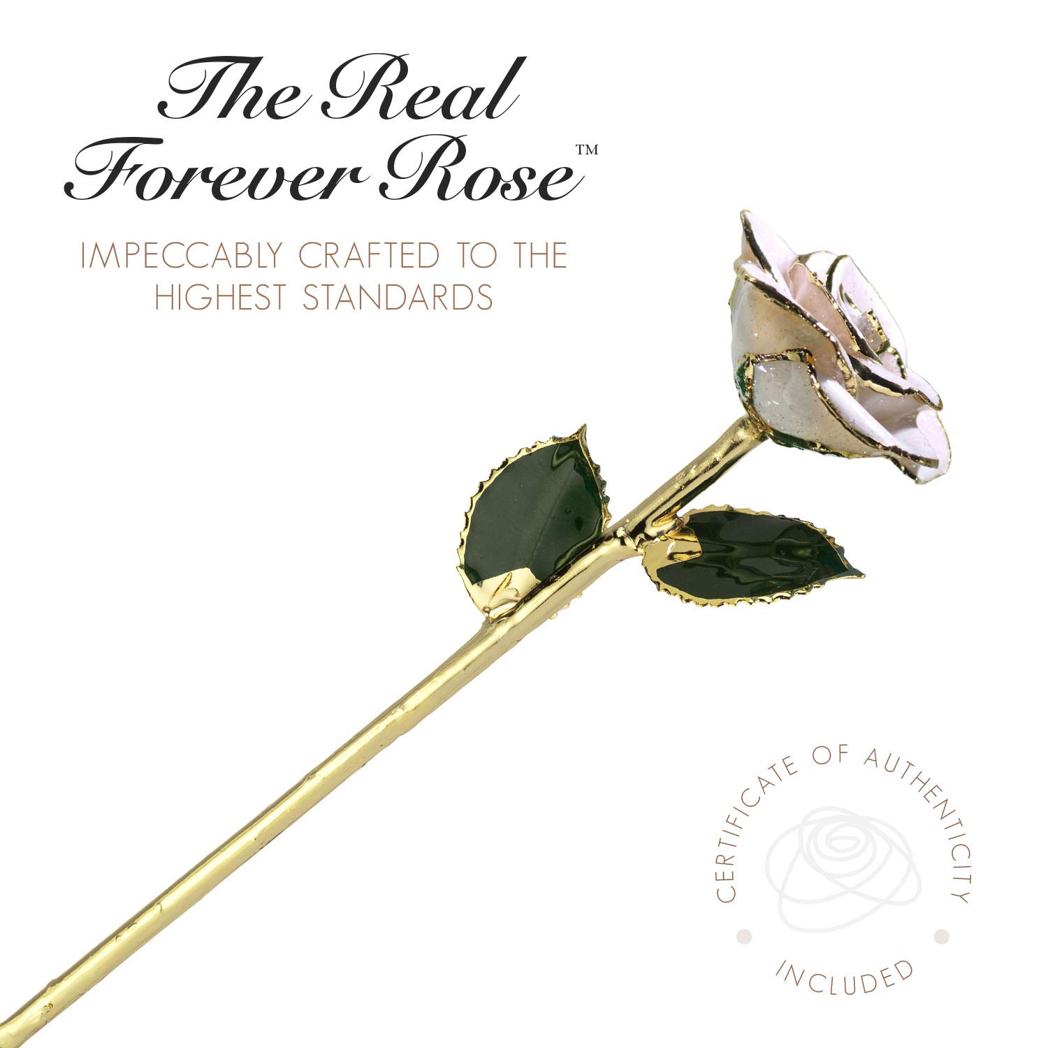 24K Gold Dipped Forever Rose - Real Frozen White Sparkle Genuine Rose Handcrafted with Lacquer | Unique Eternal Romantic Gift for Women & Men | Perfect for Anniversaries, Valentine's Day & Wedding Decorations