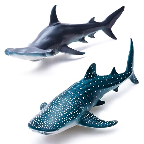 Hammerhead and Whale Shark