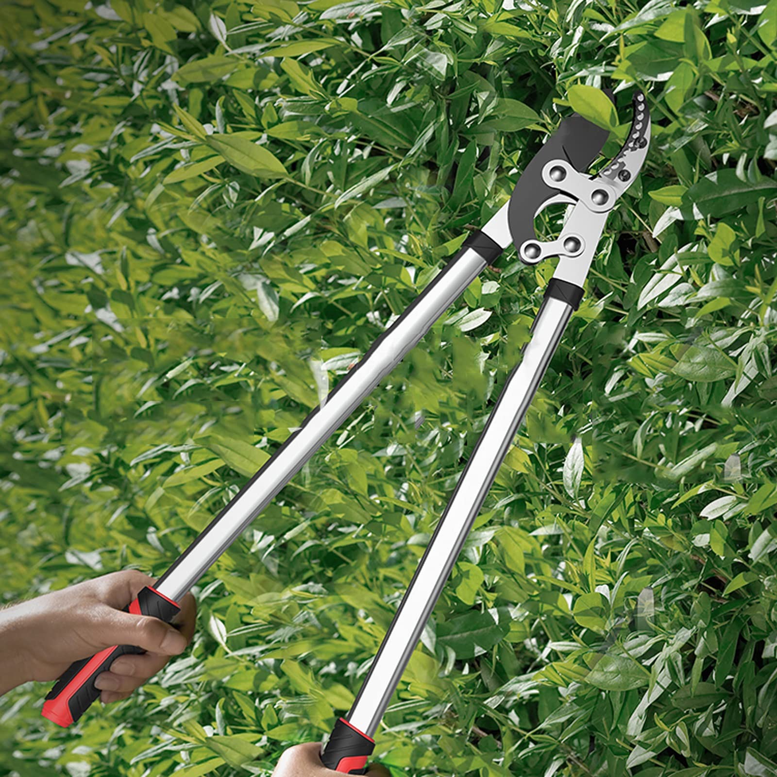 Heavy Duty Telescopic Fruit Tree Pruning Shears - Professional Garden Branch Cutter for Thick Stems & Flower Trimming - Ideal for Gardening, Landscaping & Orchard Maintenance