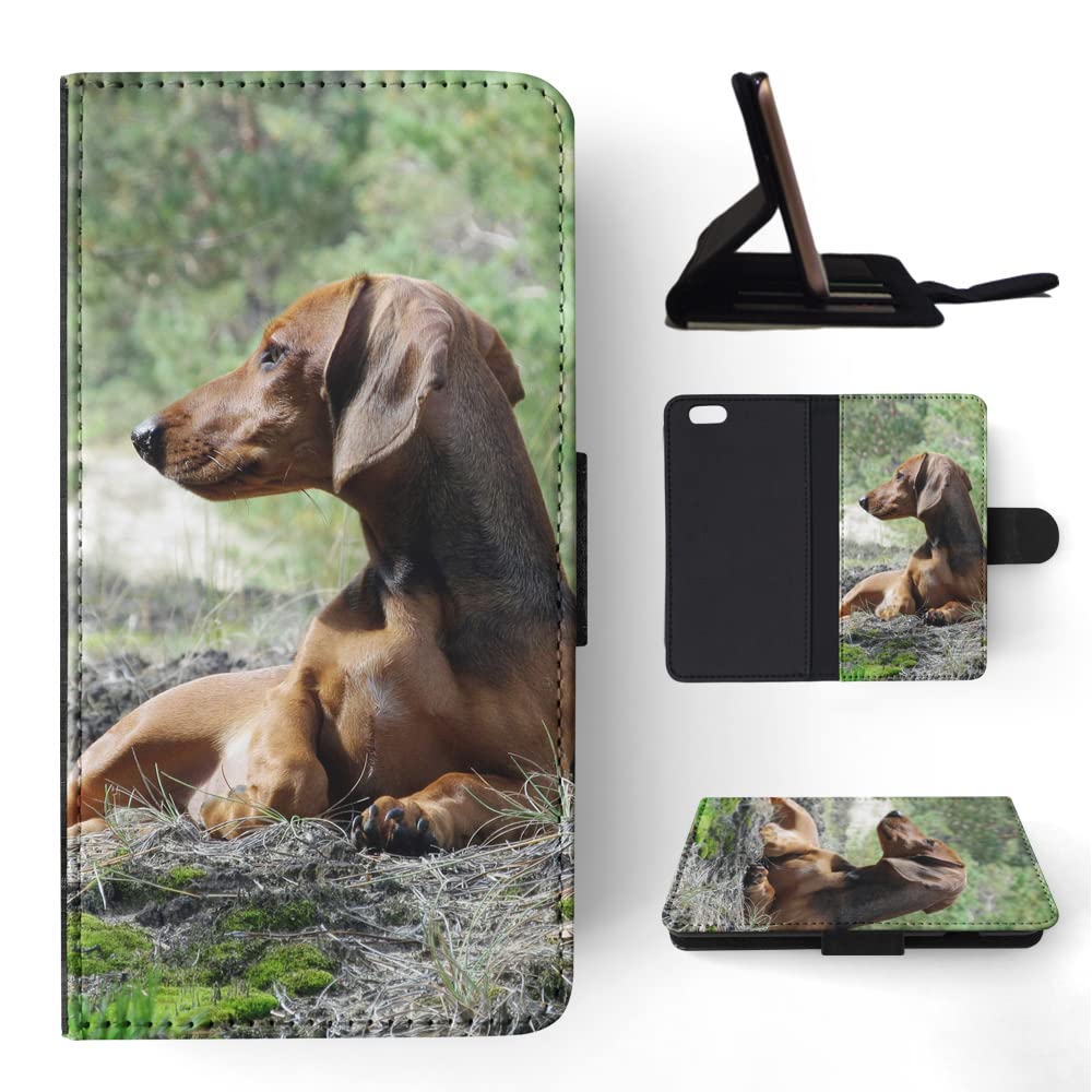 Dachshund Dog 8 FLIP Wallet Phone Case for Apple iPhone 6/6S - Stylish Protective Cover with Card Slots for Daily Use & Travel
