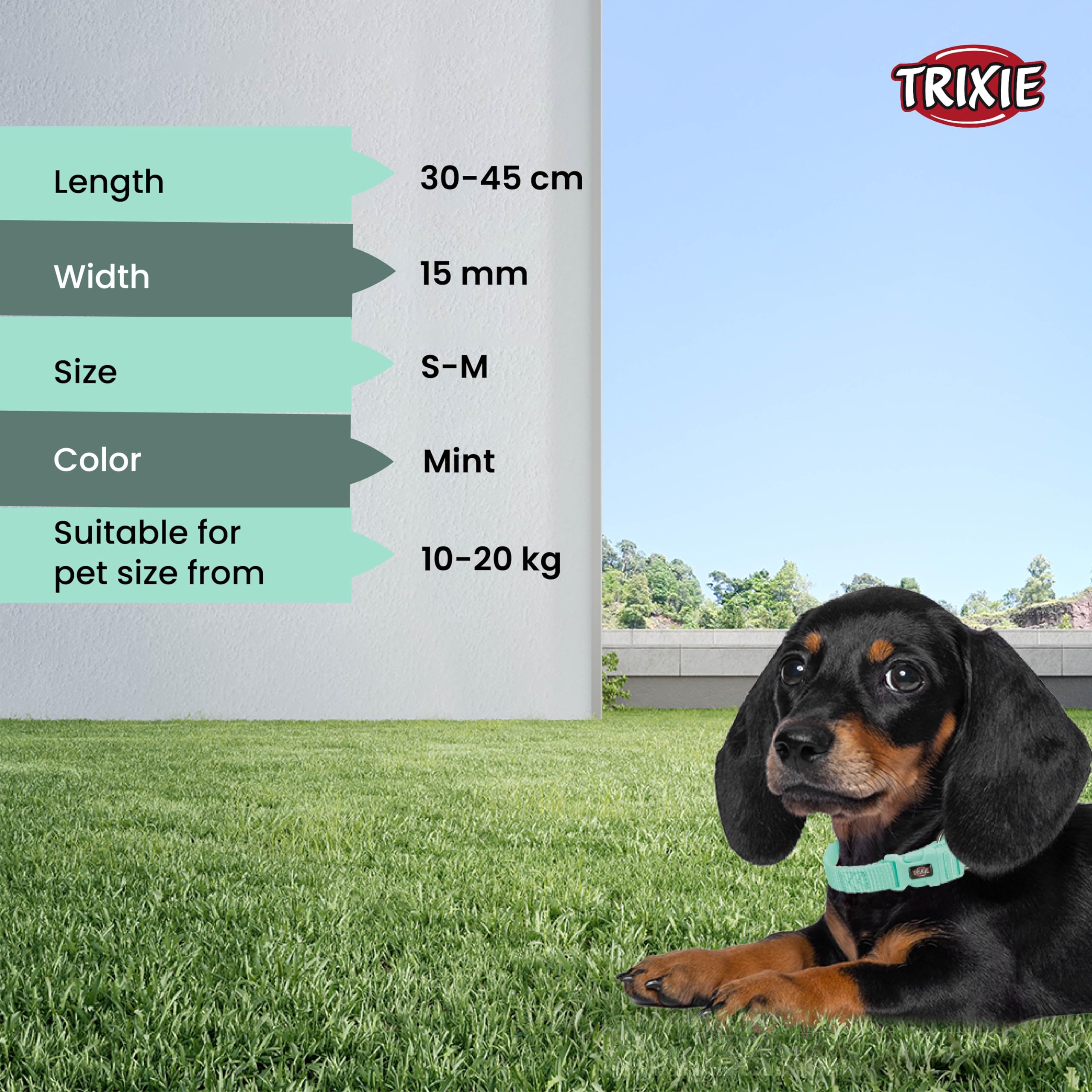 Premium TRIXIE Softline Elegance Adjustable Dog Collar - Nylon Material with Padded Buckle for Comfort (Small-Medium, Mint/Teal, 23cm x 4.5cm) - Perfect for Daily Walks, Training & Fashionable Pet Accessories