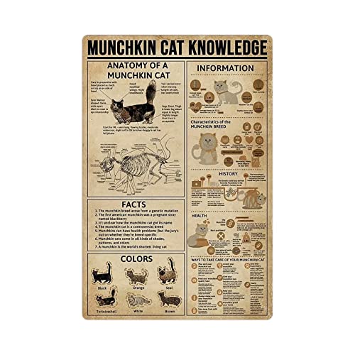 Munchkin Cat Knowledge