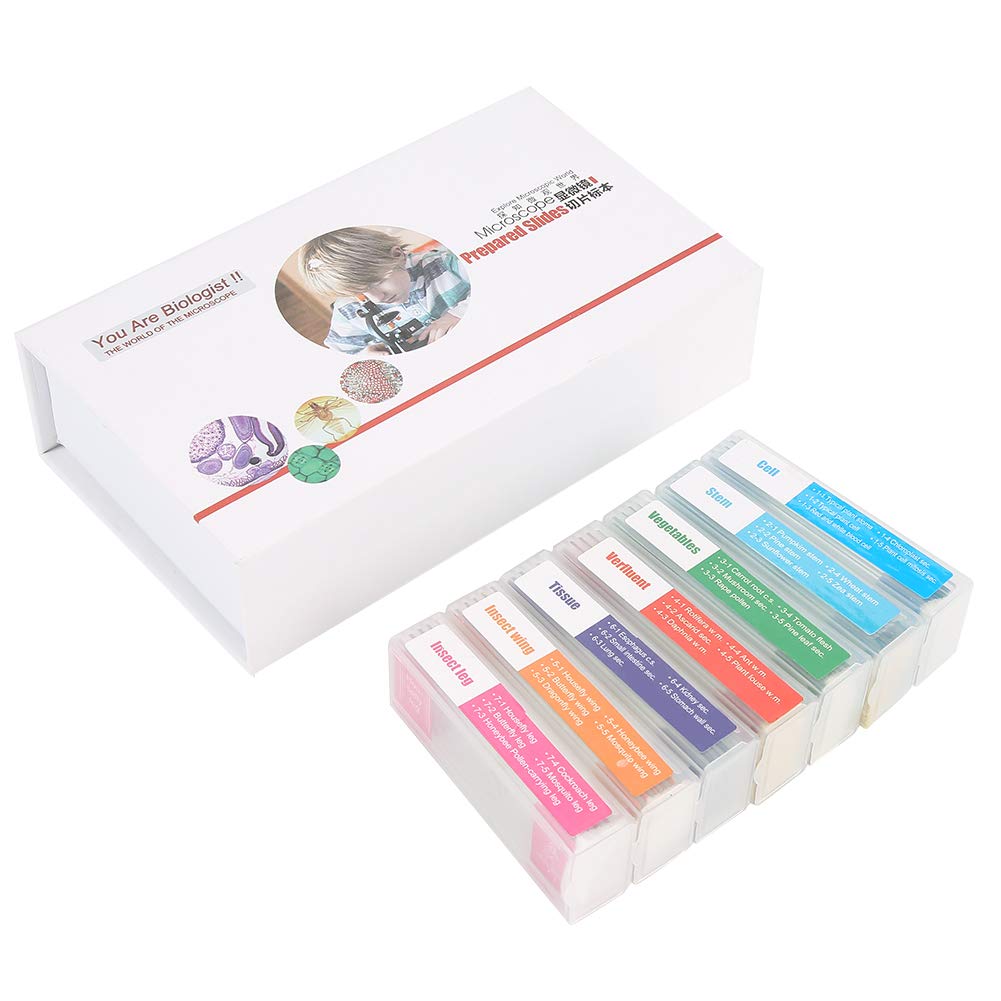 Premium Biology Microscope Slides - High-Quality Uniform Glass for Medical & Laboratory Use - Perfect for Education, Research & Clinical Diagnostics