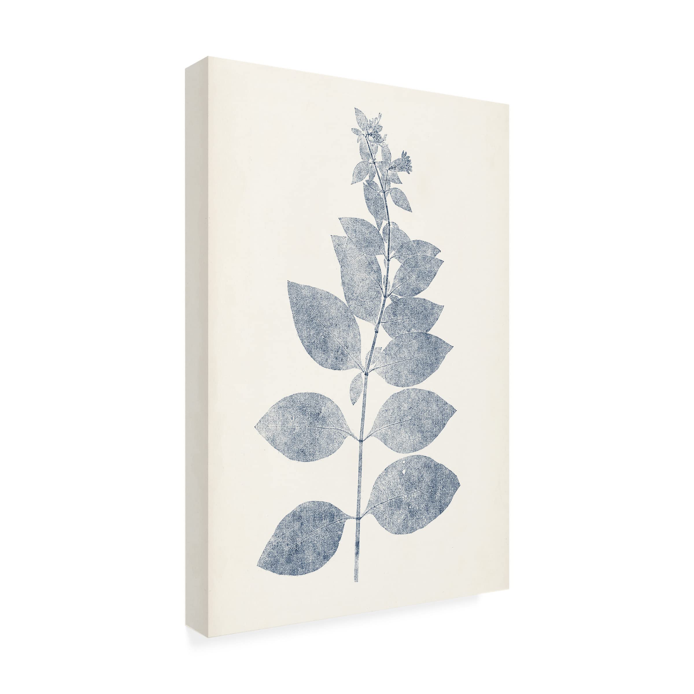 Trademark Fine Art 'Navy Botanicals IX' Canvas Wall Art Print by Vision Studio - Perfect for Living Room, Bedroom & Office Decor