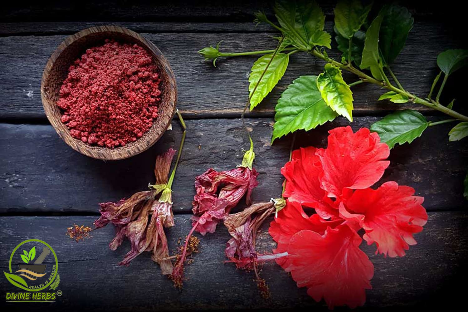 Divine Herbs Natural & Organic Jasud Powder for Skin & Health Care - 100g | Ayurvedic Beauty & Wellness Supplement for Glowing Skin & Detox