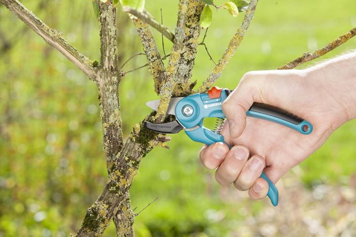 Gardena Garden Pruning Shears - Professional Bypass Secateurs for Trimming, Cutting & Shaping Plants | Perfect for Gardening, Landscaping & Outdoor Use