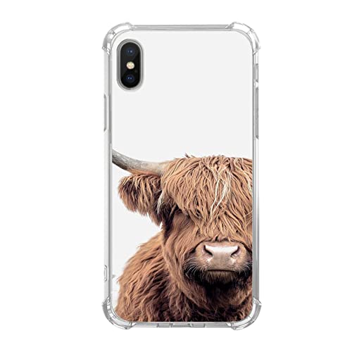 Scottish Highland