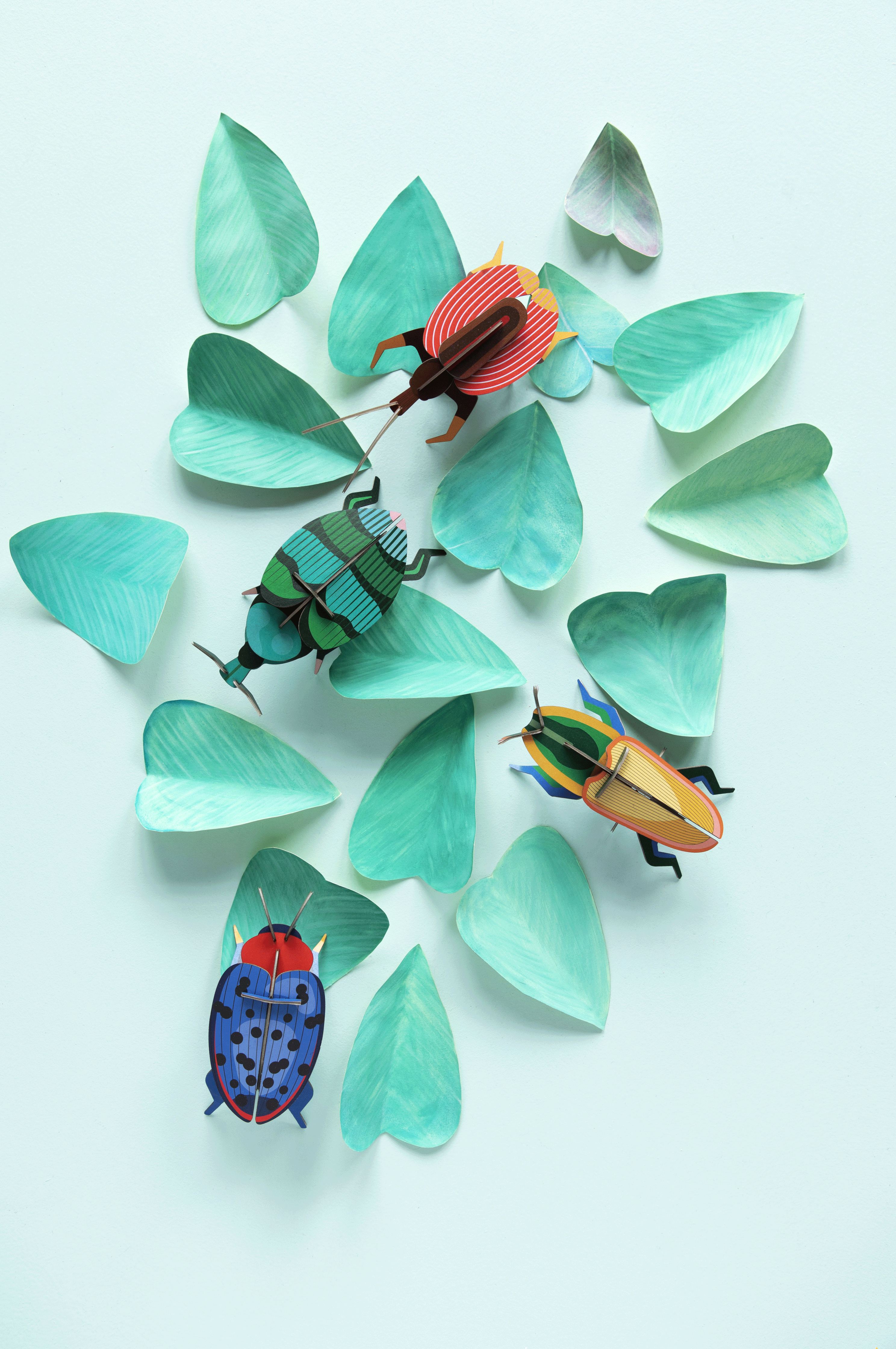 Authentic Madagascar Beetle Small Insect Specimen - Unique Collectible for Entomology Enthusiasts | Perfect for Home Decor, Science Education & Nature Collections