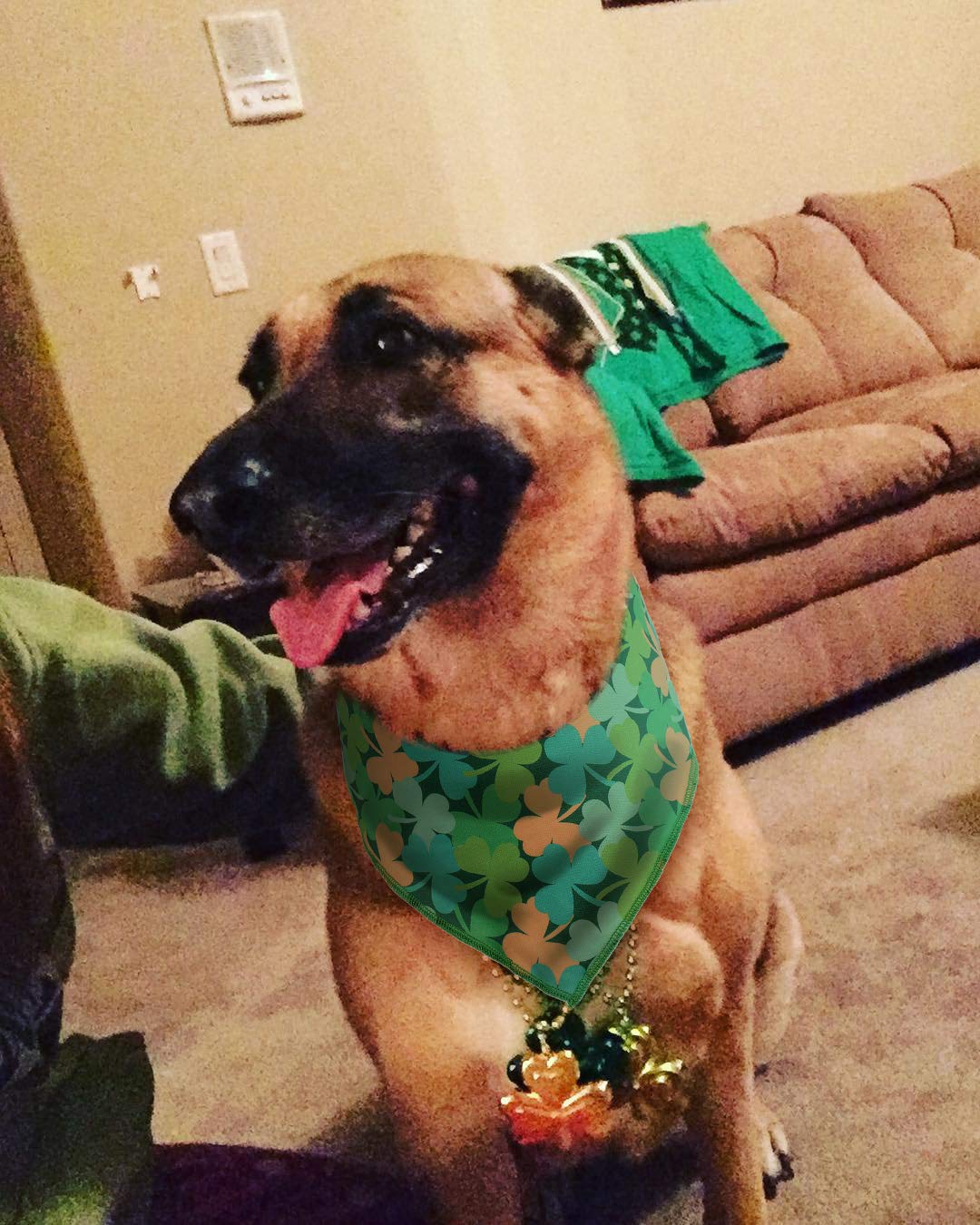 2 Pack St. Patrick's Day Dog Bandanas - Green Triangle Pet Bibs & Scarves for Small Medium Large Dogs - Perfect for St. Patty's Day Parties, Parades & Photo Shoots