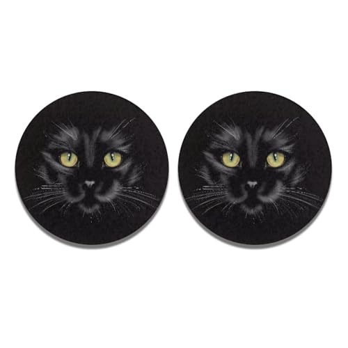 Black Cat