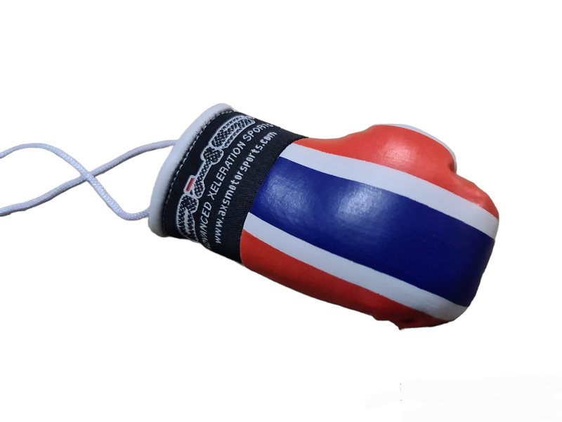 AXS Mini Boxing Gloves for Kids & Adults - Premium Leather Training Gloves - Perfect for Boxing, MMA, Muay Thai & Fitness Training - Ideal Gift for Fighters & Beginners (One Pair)