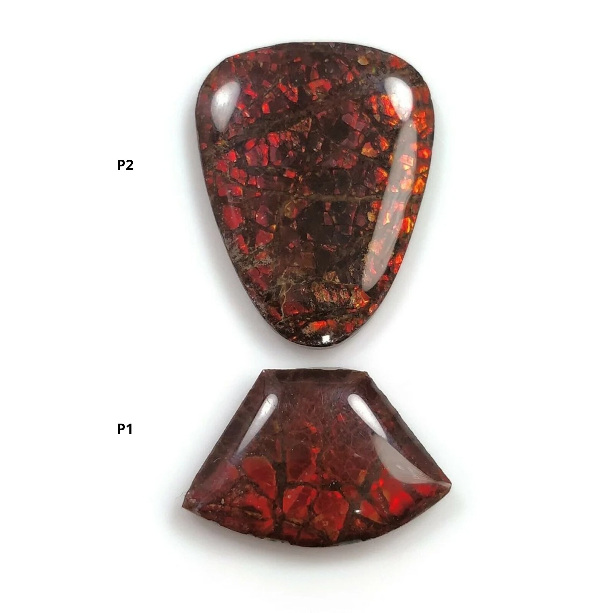 Natural AMMOLITE Gemstone Cabochon - Bi-Color Fossilized Shell Jewelry Making Stone (14x20mm or 24x19mm) for Pendants, Rings & Unique Handmade Jewelry Designs