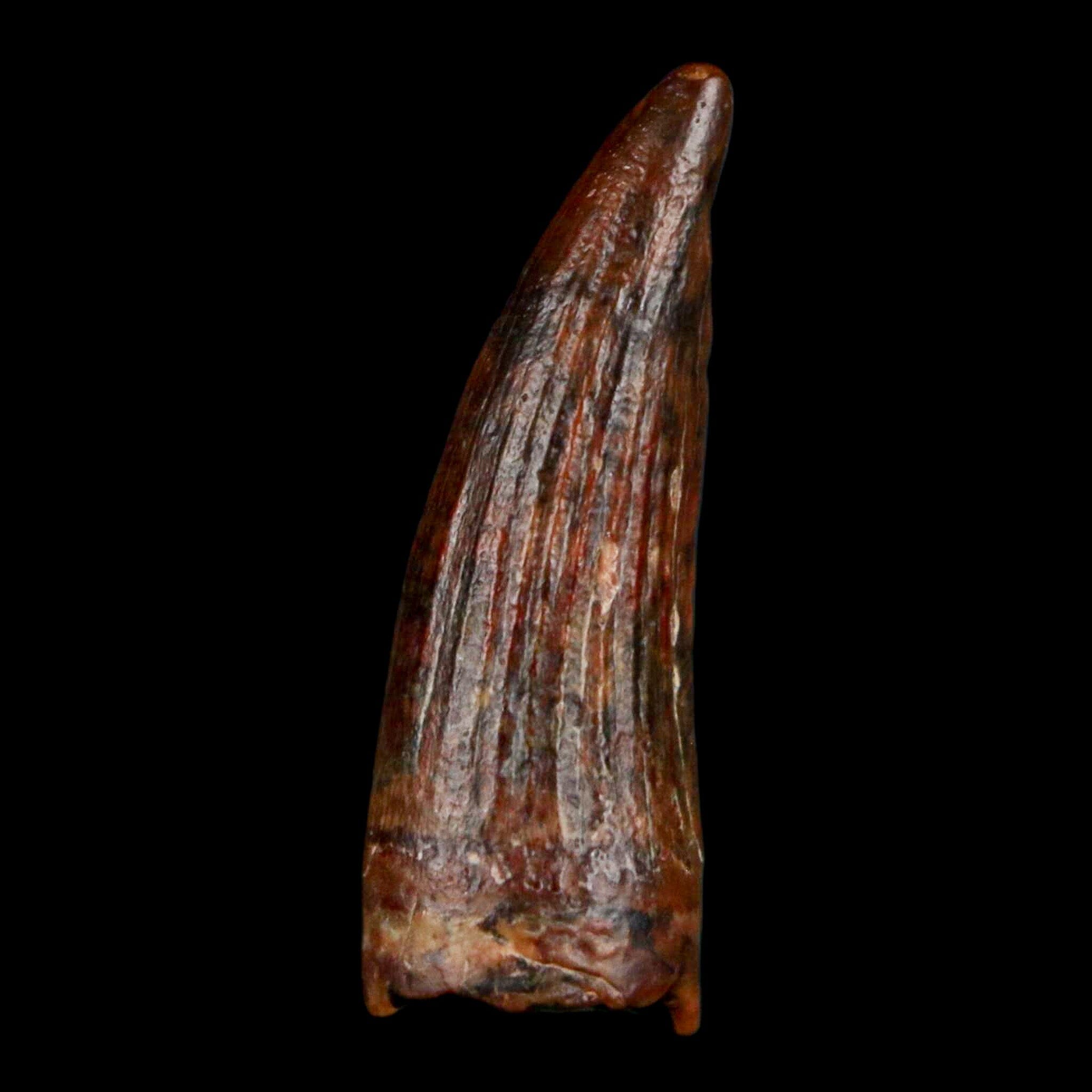 1.2