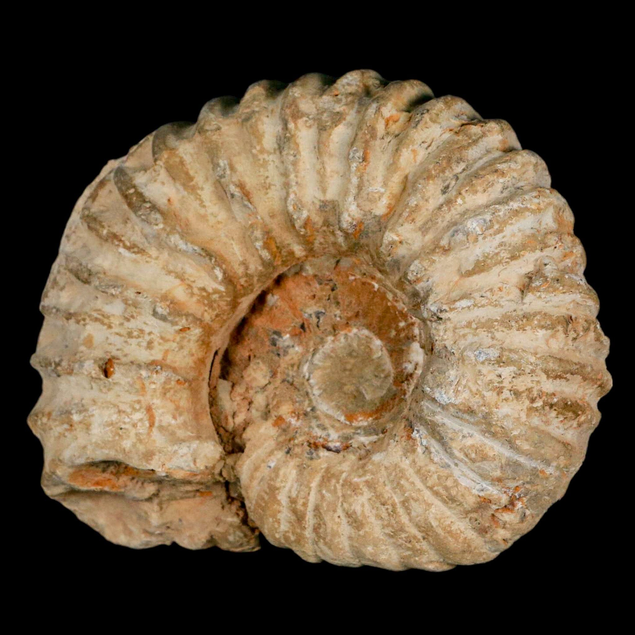 4.9