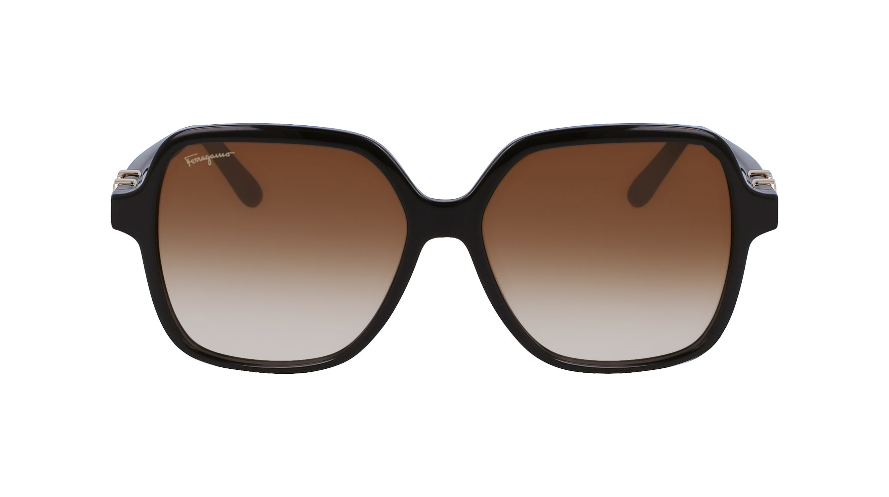 Ferragamo SF1083S Sunglasses for Women - Luxury Designer Shades with UV Protection - Perfect for Outdoor Activities, Beach & Driving