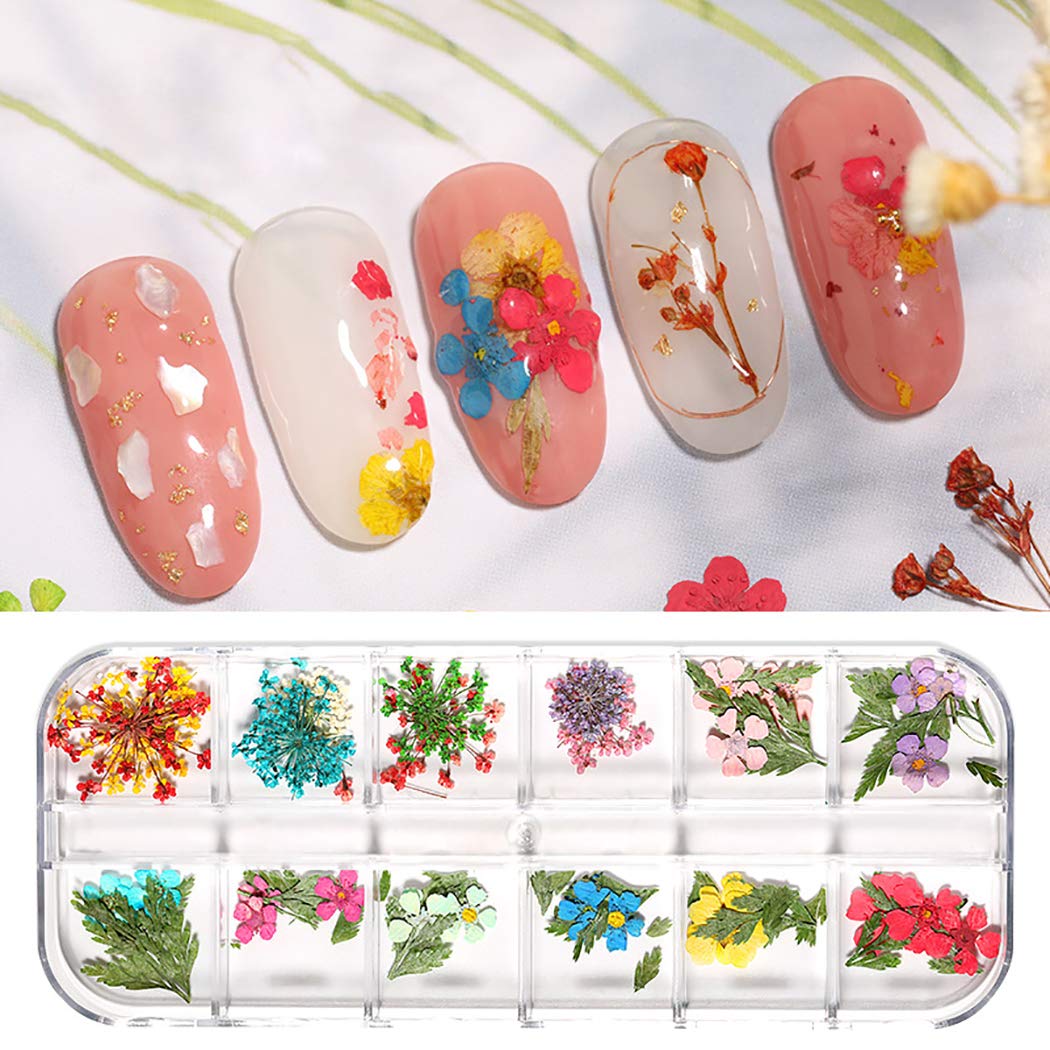 Dorakitten 3 Sets Pressed Dried Flower Nail Art Decorations - Floral Nail Art Supplies & Accessories for DIY Manicure, Wedding, Party Nail Designs