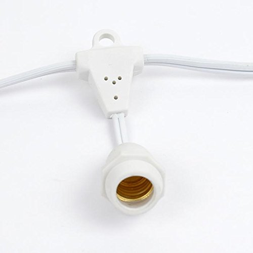 25' Clear Incandescent G50 Globe Outdoor String Lights - Commercial Grade Weatherproof Patio Lights with White Wire & 25 Sockets - Perfect for Backyard, Garden, Gazebo, Cafe, Market & Outdoor Dining Areas