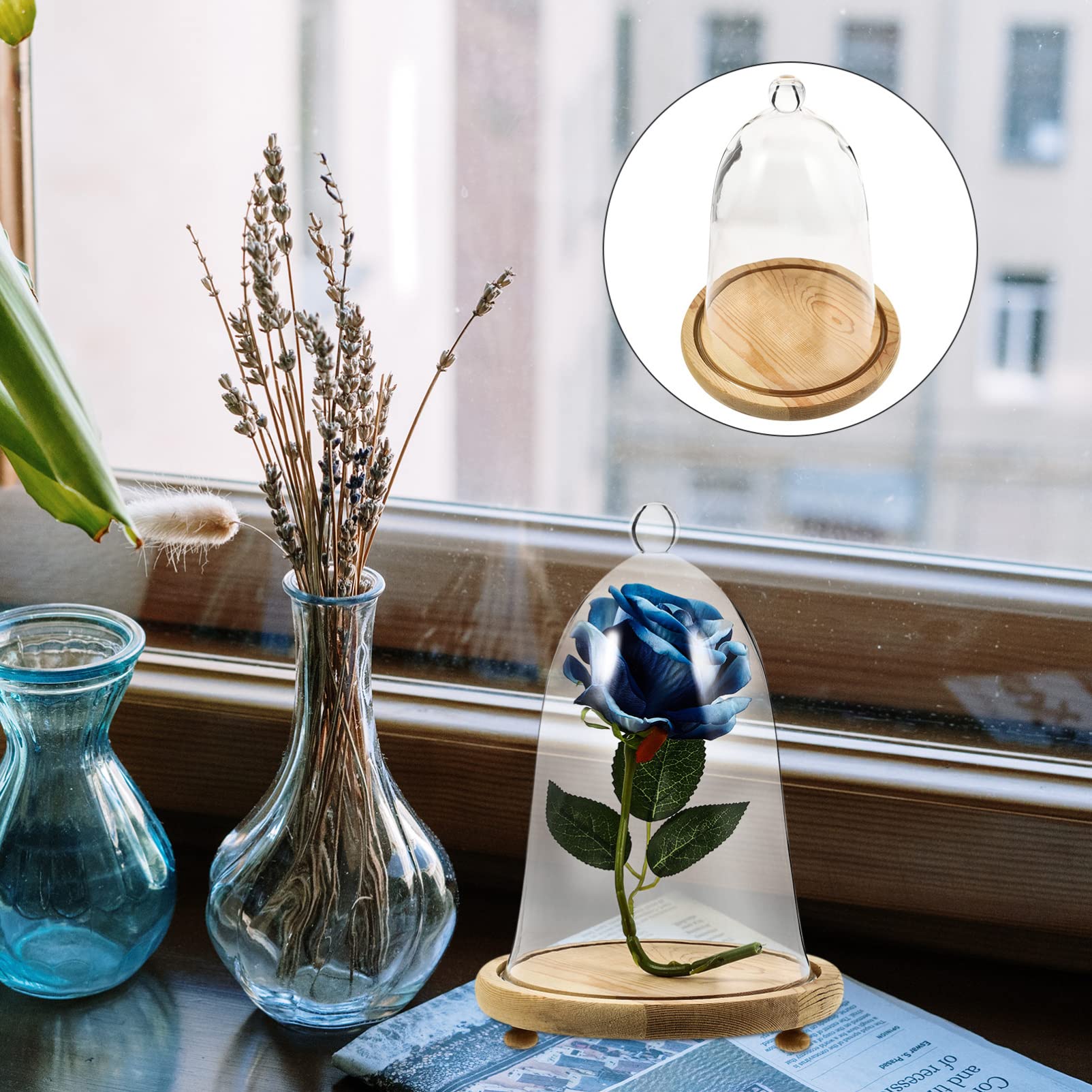 1 Set Mini Glass Cloche Dome Terrarium - Tabletop Display Case for Micro Landscape, Succulent Plants, Mini Cakes & Cheese Trays - Eternal Flower Glass Cover with Wooden Base - Perfect for Home Decor, Wedding Centerpieces & Office Desk Display