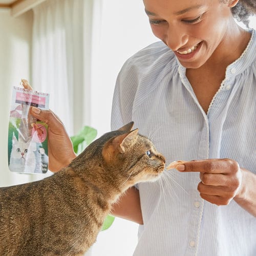 Premium Inaba Grilled Tuna Cat Treats in Tuna Broth - Grain-Free, High-Protein Snacks for Cats - Perfect for Training, Rewards & Bonding Moments