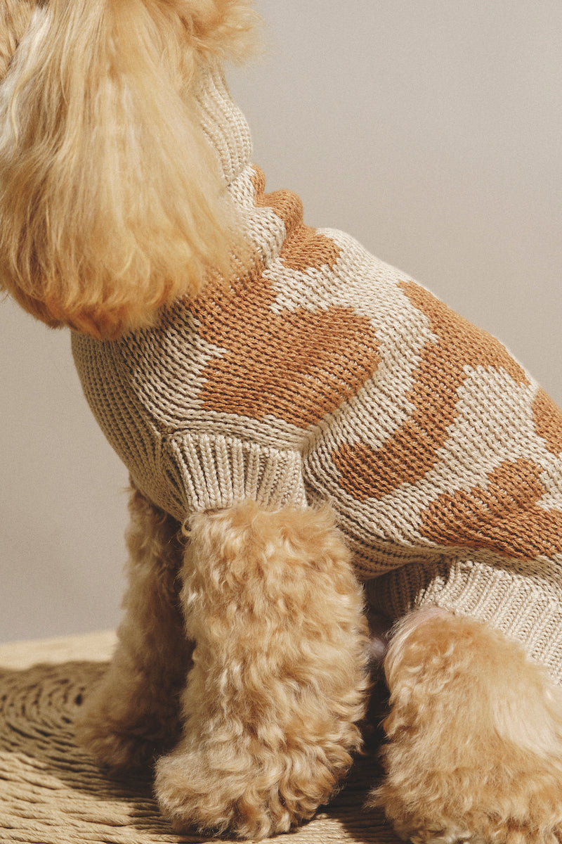 Dog Cardigan - Soft Pony Cotton Knit Sweater for Small Dogs - Cozy Winter Outfit for Indoor & Outdoor Use