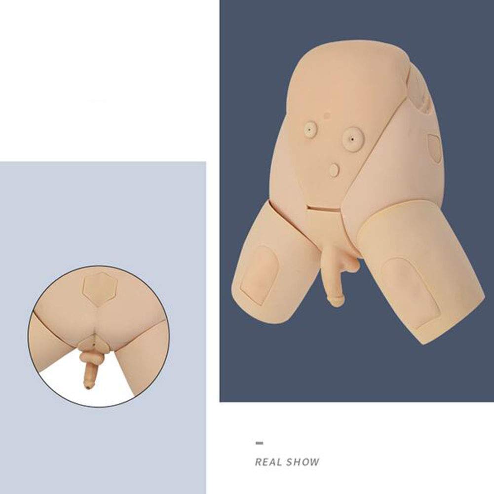GHDE&MD H17EF Male and Female Urethral Catheterization Simulator Kit - Medical Training Model for Nursing Students & Healthcare Professionals - Practice Urinary Catheter Insertion Techniques for Clinical Skills Development