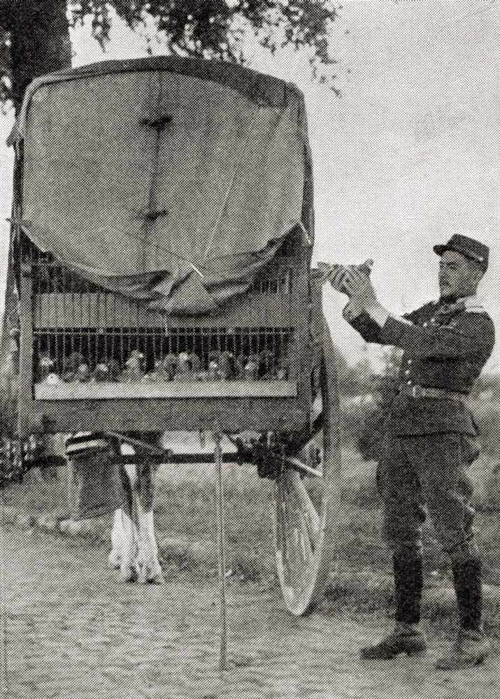 Vintage WWI French Trooper Releasing Pigeon with Message Photo Print - 22x32 Inch War Illustrated Album Deluxe 1915 Reproduction - Perfect for History Classrooms, Military Memorabilia Collections & WWI Themed Home Decor