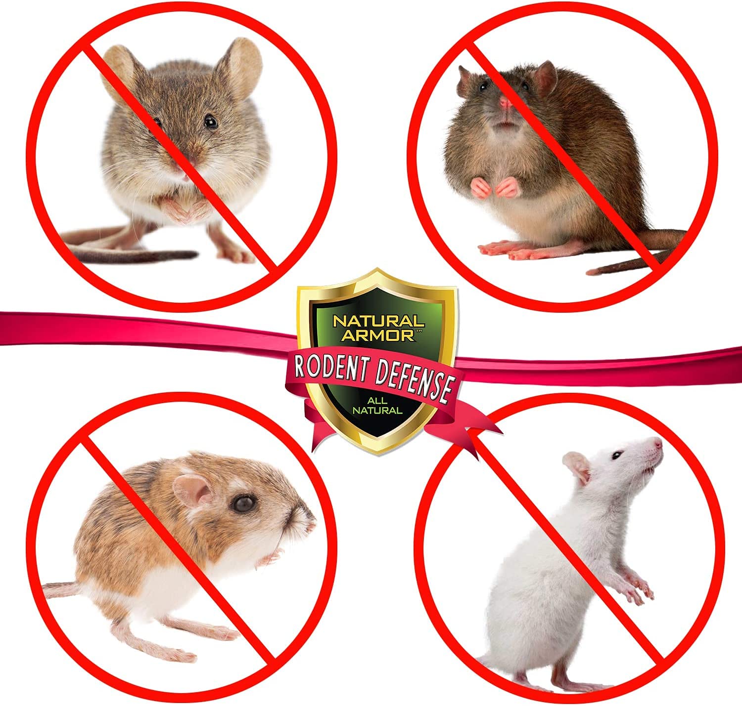 Natural Peppermint Oil Rodent Repellent Spray - Mice, Rats & Rodent Control for Indoor & Outdoor Use - 128oz Gallon Refill (Pack of 4) - Safe & Effective Pest Solution for Homes, Garages, Basements & Gardens