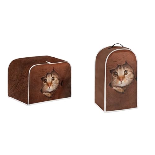Cute Cat