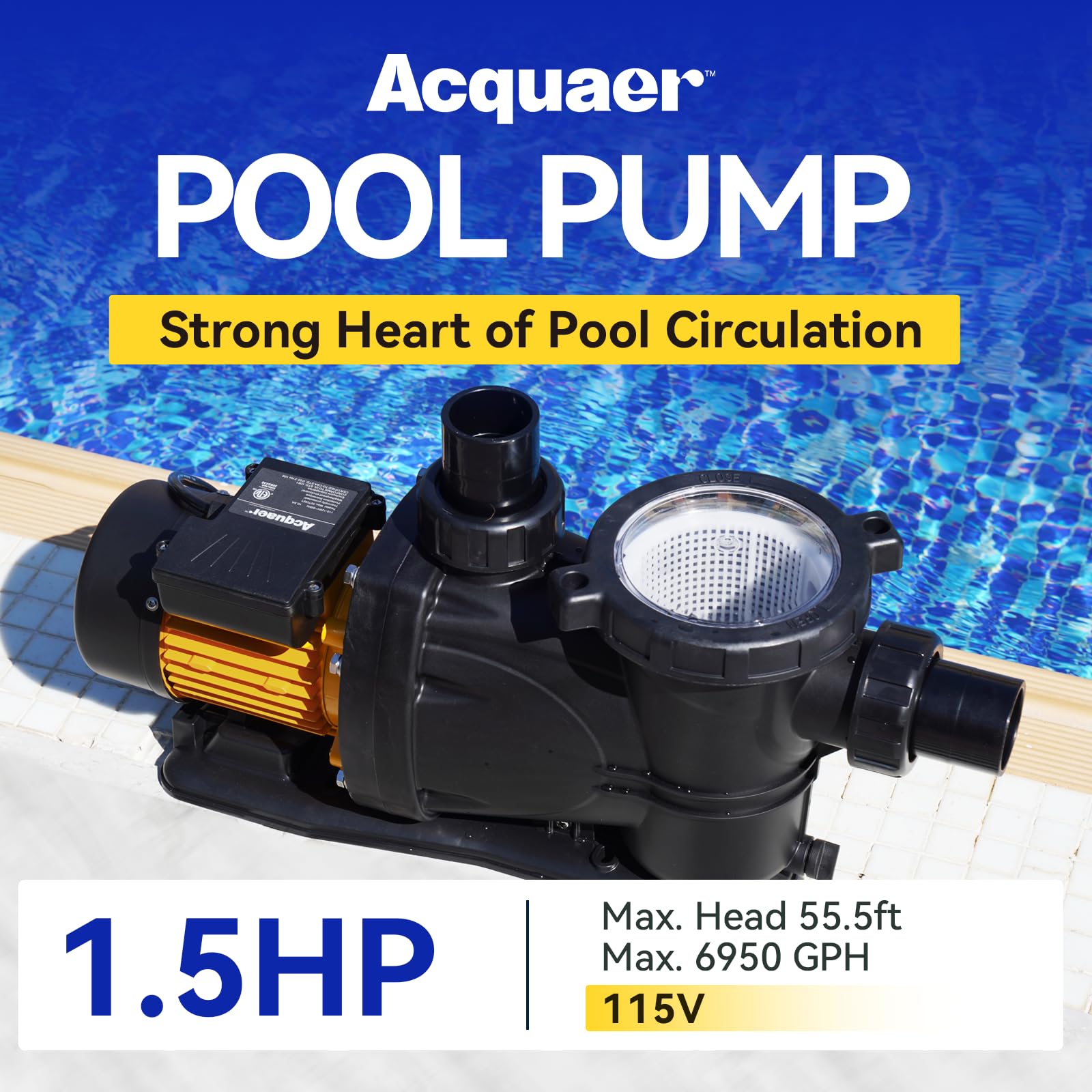Acquaer 2 HP High Flow Pool Pump - 7860 GPH 115V Energy Efficient Swimming Pool Pump for Above Ground & Inground Pools | Self Priming with Strainer Basket | Perfect for Backyard, Residential & Commercial Pool Maintenance