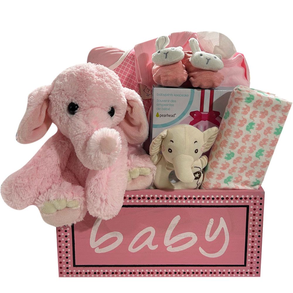 Premium Baby Girl Essentials - Soft & Comfortable Outfits for Newborns & Toddlers | Perfect for Everyday Wear, Playdates & Special Occasions | SKU: CBC1033