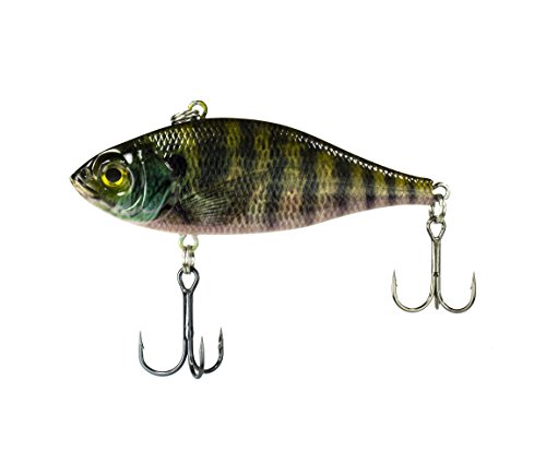 Blue Gill