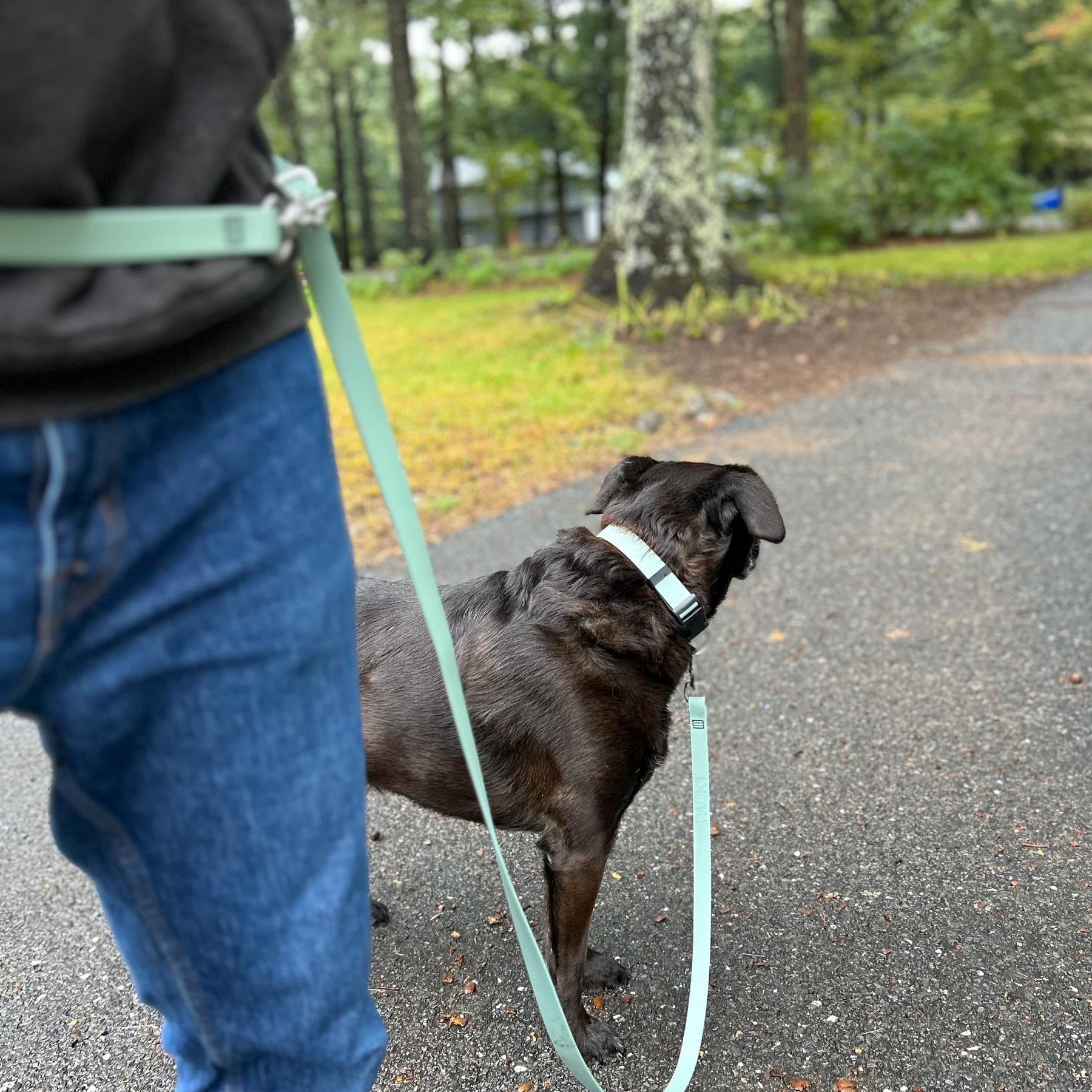 PACKT - Waterproof Hands-Free Dog Leash for Large & Medium Dogs | Adjustable 8ft European Style Leash | Made in USA | Durable & Stronger than Leather | Berry Color | Perfect for Hiking, Running & Outdoor Adventures