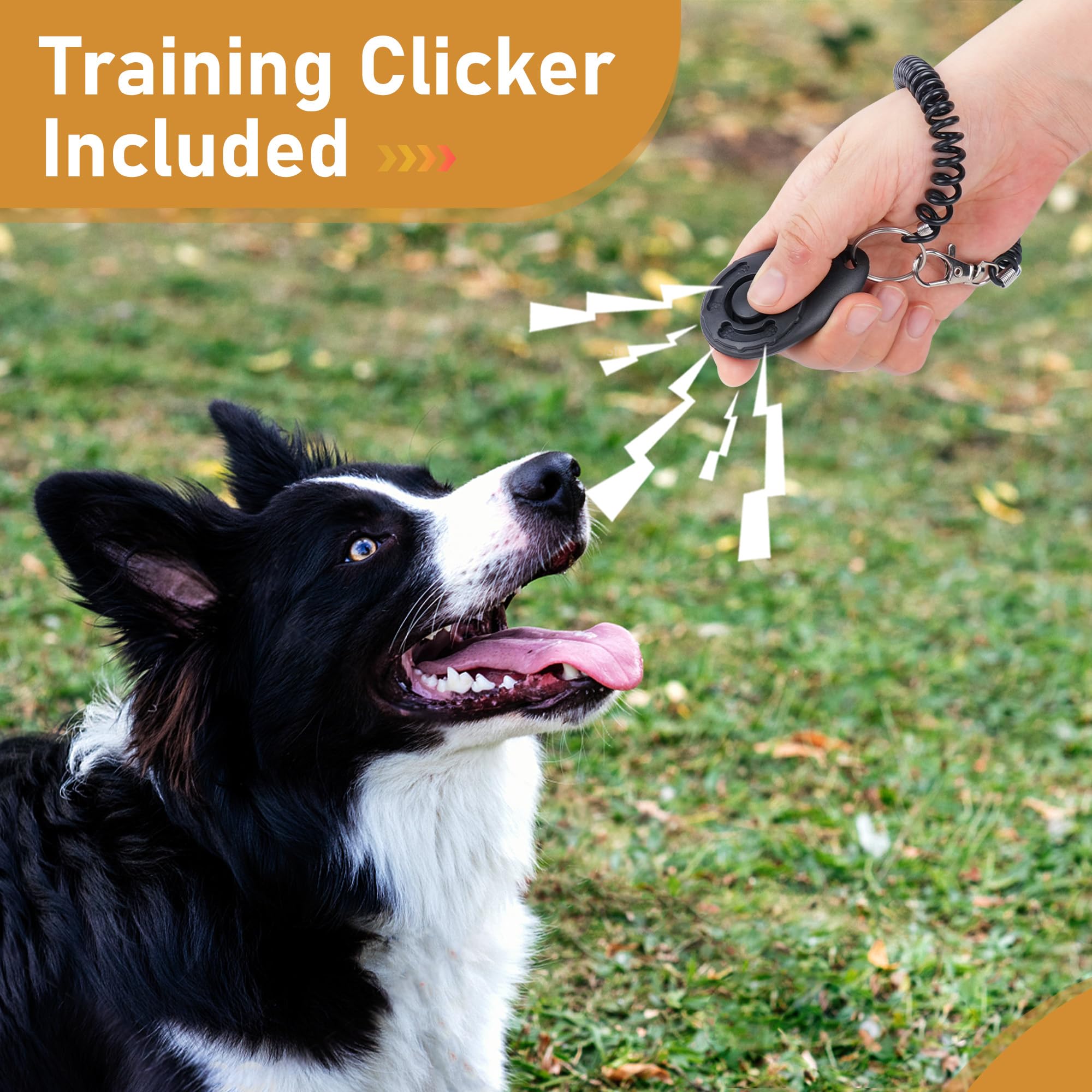 PrimePets 50ft Long Dog Leash with Training Clicker - Heavy Duty Retractable Leash for Small, Medium & Large Dogs - Perfect for Outdoor Training, Hiking, and Beach Walks