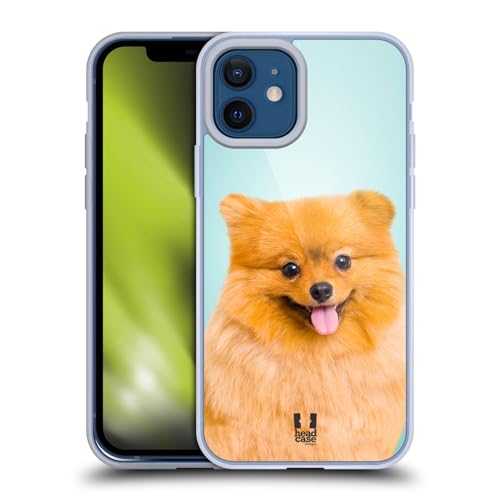 Pomeranian Dog