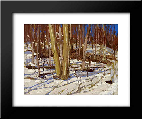Tom Thomson Wooden Landscape Framed Art Print 18x15 - Vintage Nature Wall Decor for Living Room, Bedroom & Office